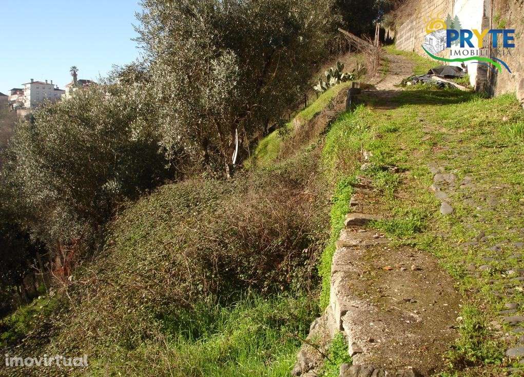 Terreno situado em Sertã - Grande imagem: 3/4