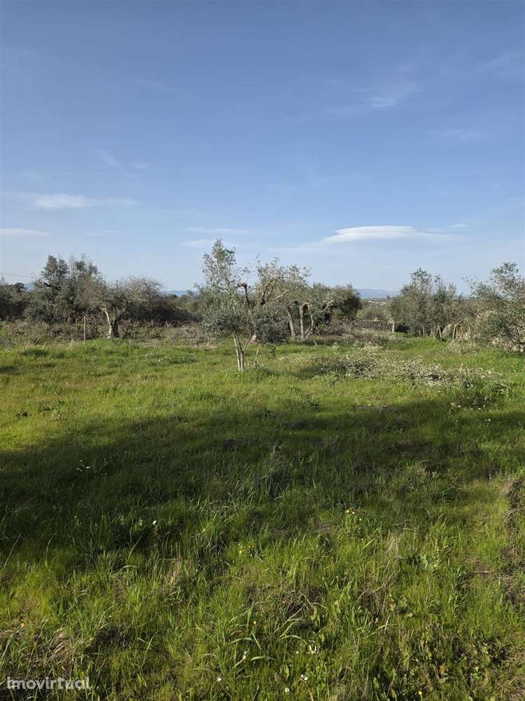 Terreno - Grande imagem: 2/7