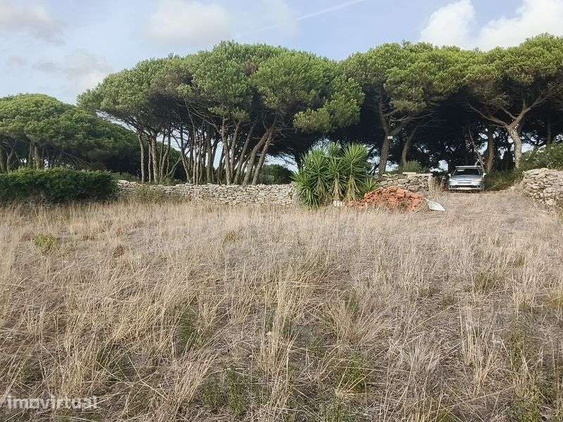 Terreno murado São João das Lampas - Grande imagem: 4/6