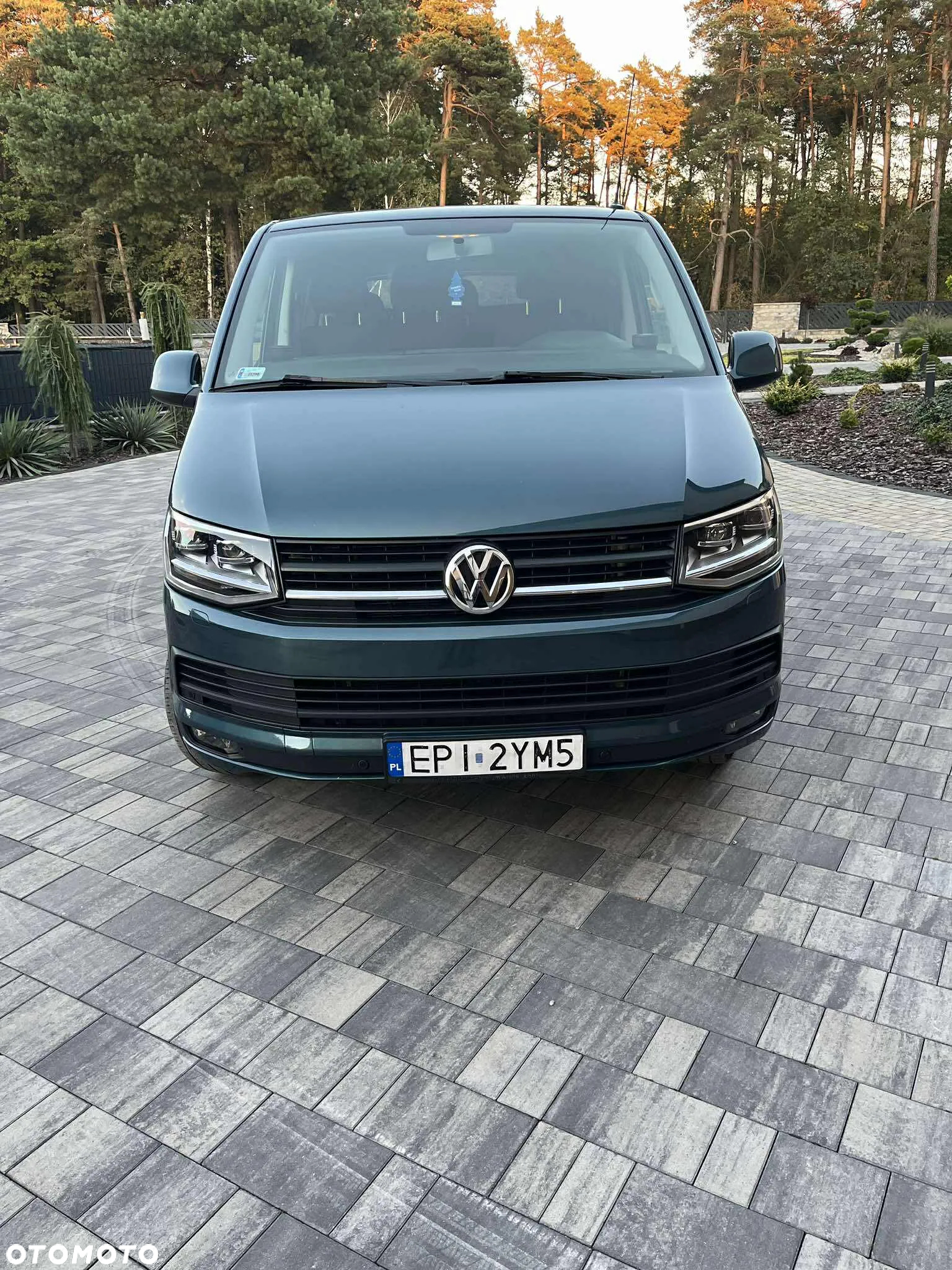 Volkswagen Transporter T6 TDI L2H1 DSG - 2