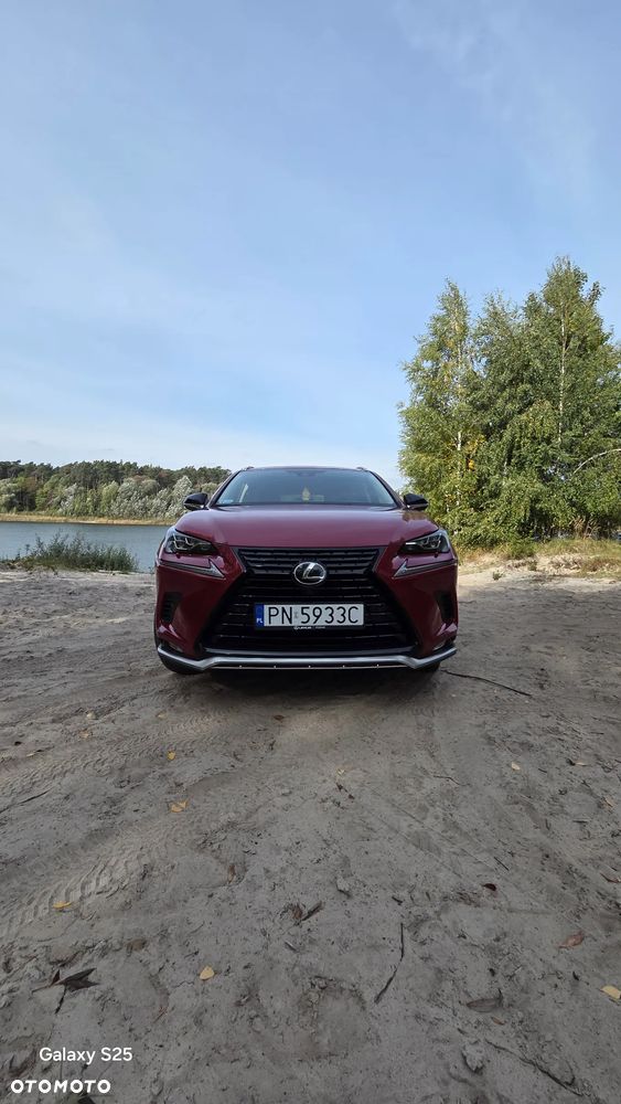 Lexus NX 300 F Impression AWD - 2