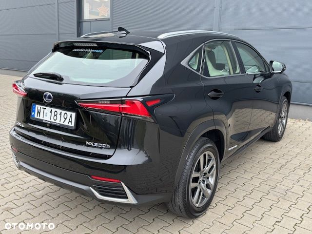 Lexus NX - 33