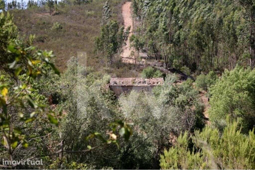 Prédio misto - Serrado - Grande imagem: 4/10