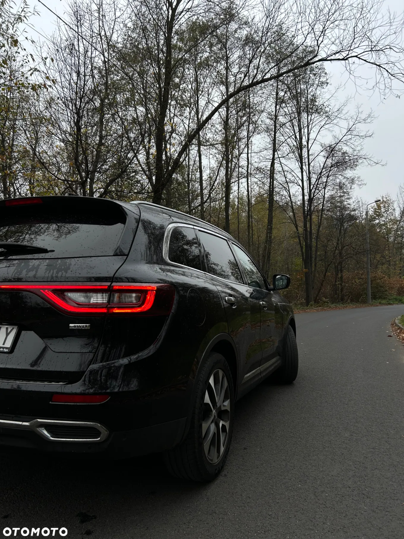 Renault Koleos 2.0 dCi Intens 4x4 X-Tronic - 7
