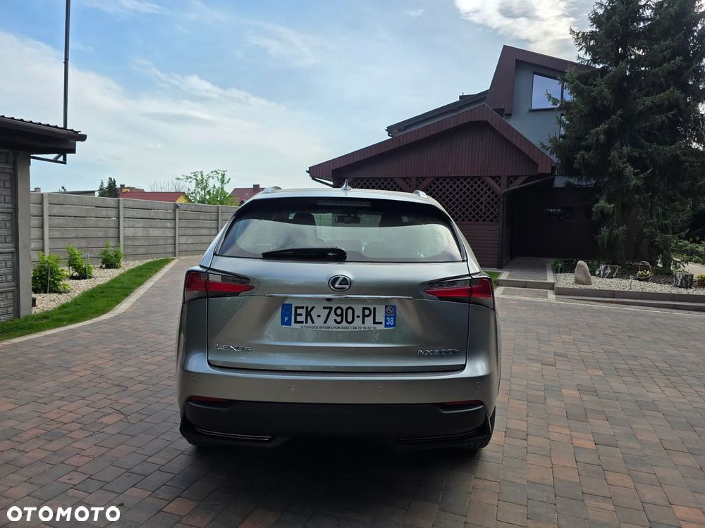 Lexus NX 300h - 6