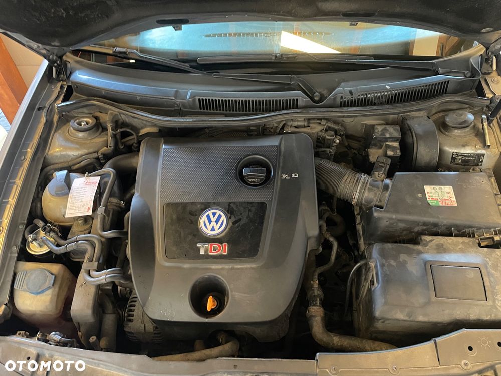 Volkswagen Golf - 25