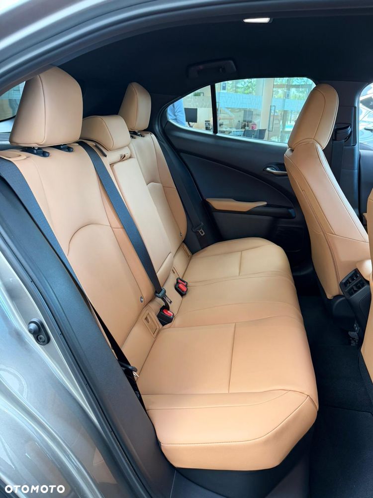 Lexus UX 300h F Sport Design - 17