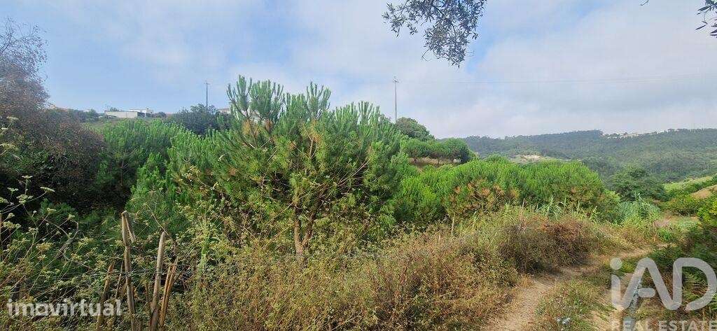 Terreno Agrícola em Azueira e Sobral da Abelheira - Grande imagem: 5/40