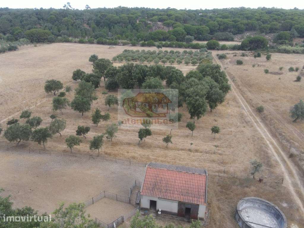Propriedade Rústica de 8 Hectares em Melides - Excelente Oportunidade - Grande imagem: 2/19