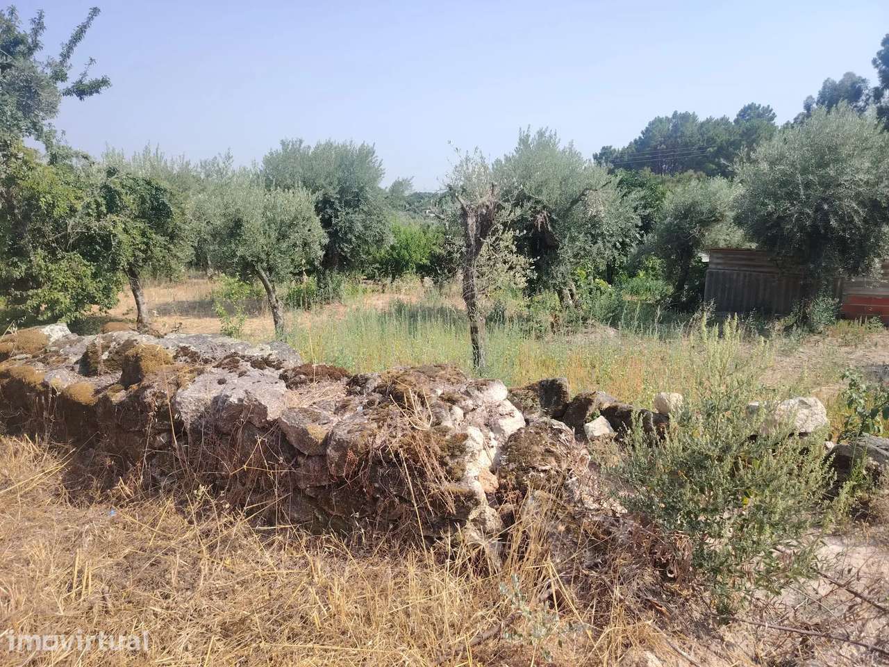Encantadora Propriedade em Louriçal do Campo, Castelo Branco - Grande imagem: 4/60