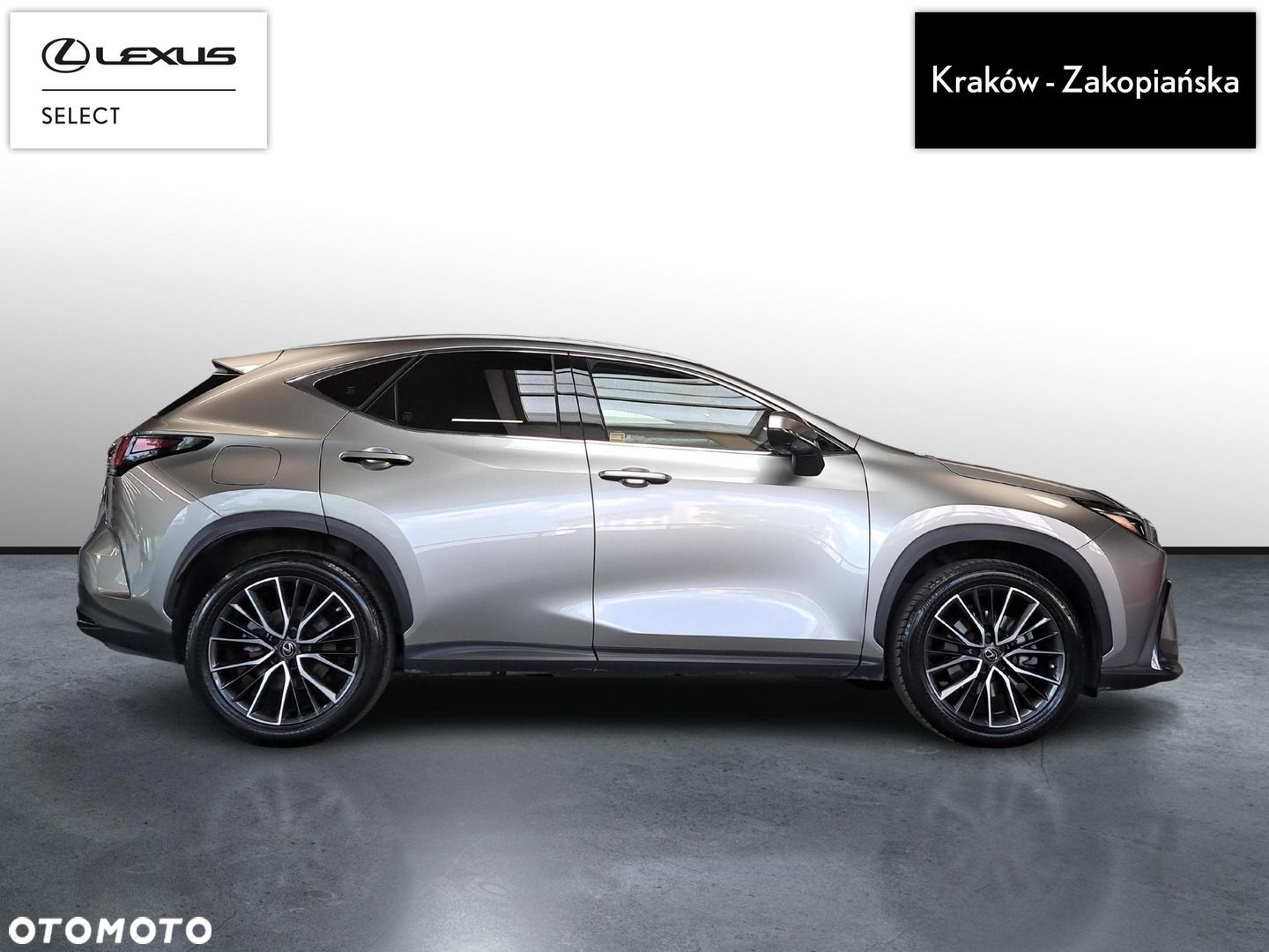 Lexus NX - 6