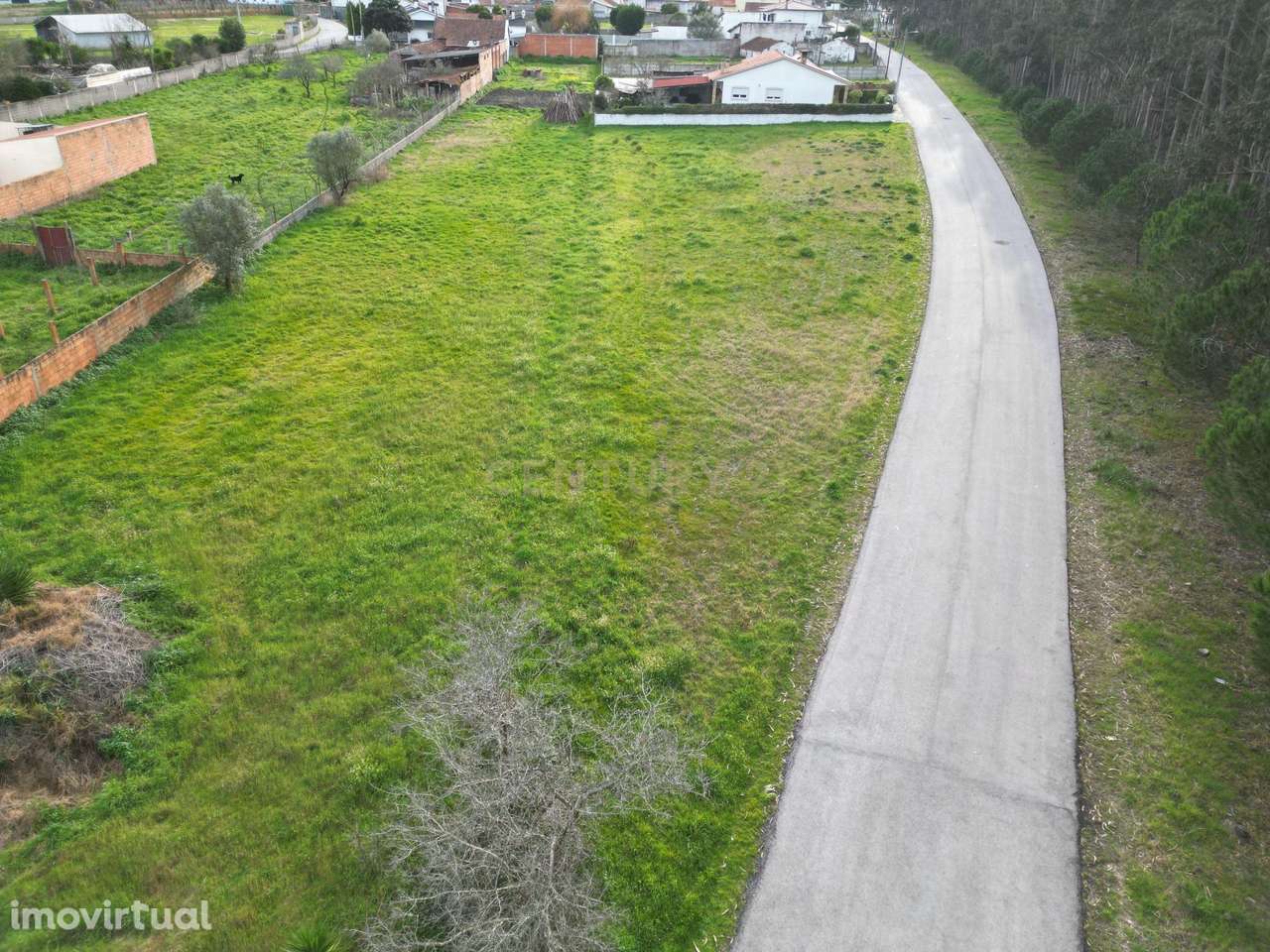 Terreno de 1.457 m² com Excelente Frente de Estrada – Oportunidade Úni - Grande imagem: 4/9