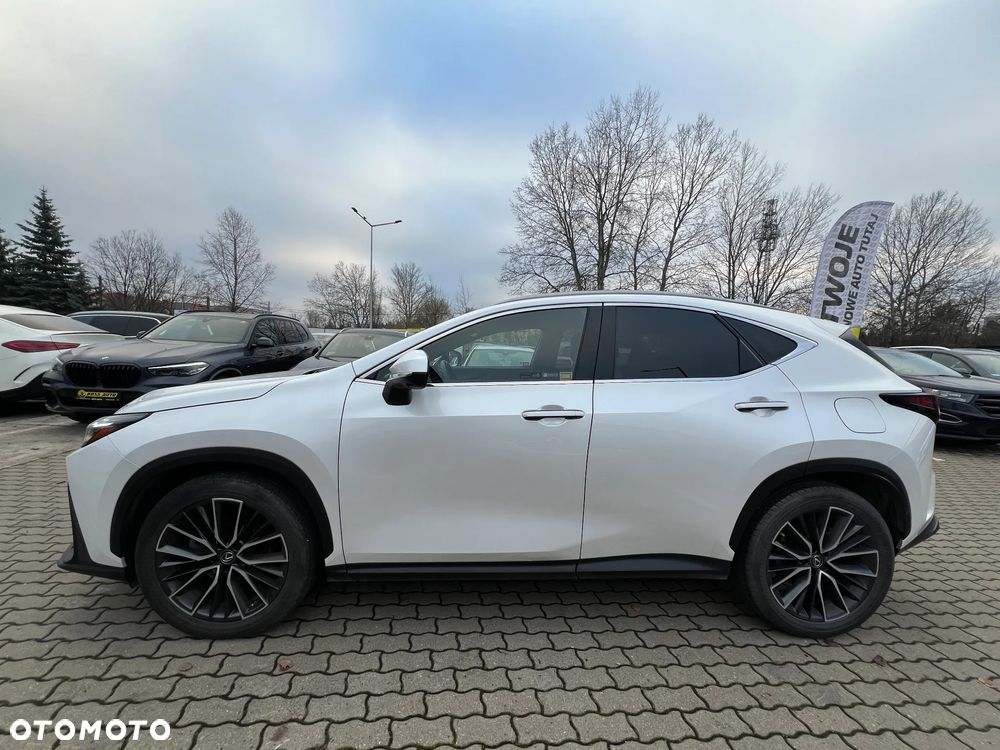 Lexus NX - 6