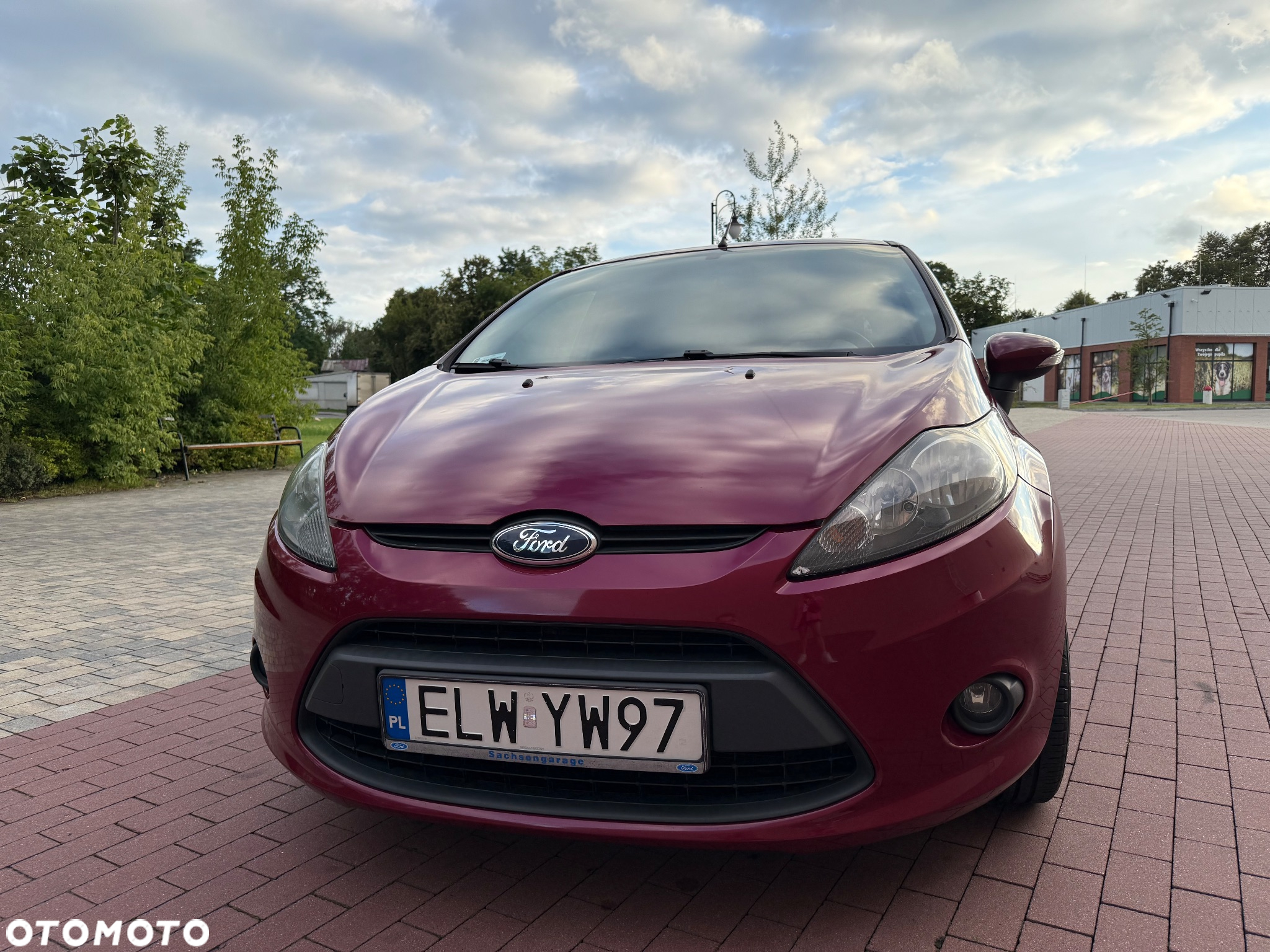 Ford Fiesta - 15