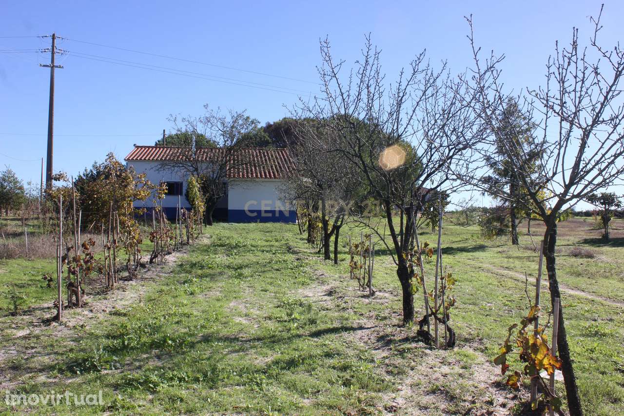 Quinta com Moradia para vender na Herdade de Almada em Foros de Almada - Grande imagem: 4/38