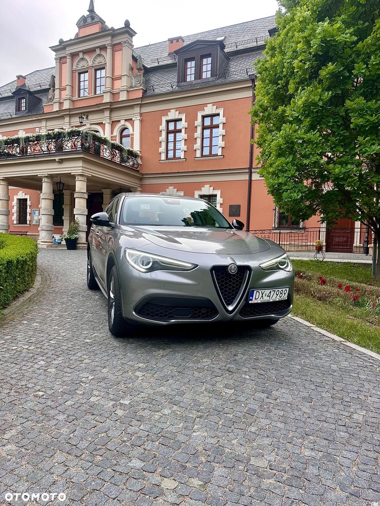 Alfa Romeo Stelvio 2.0 Turbo Business Q4 - 1