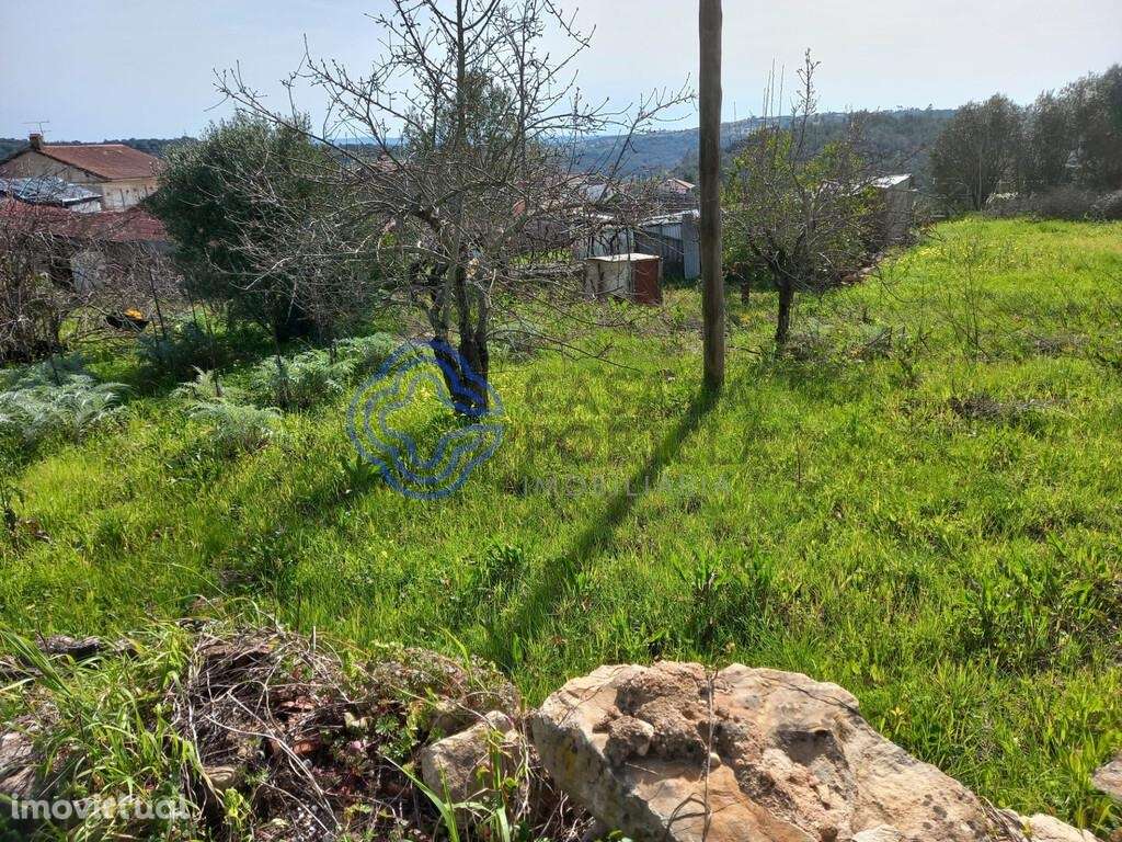 Terreno com Ruína próximo da Cidade de Tomar no Centro de Portugal - Grande imagem: 3/40