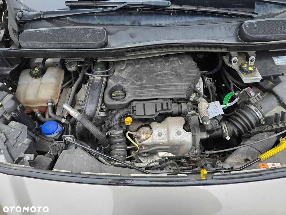 Ford TRANSIT CONNECT - 24