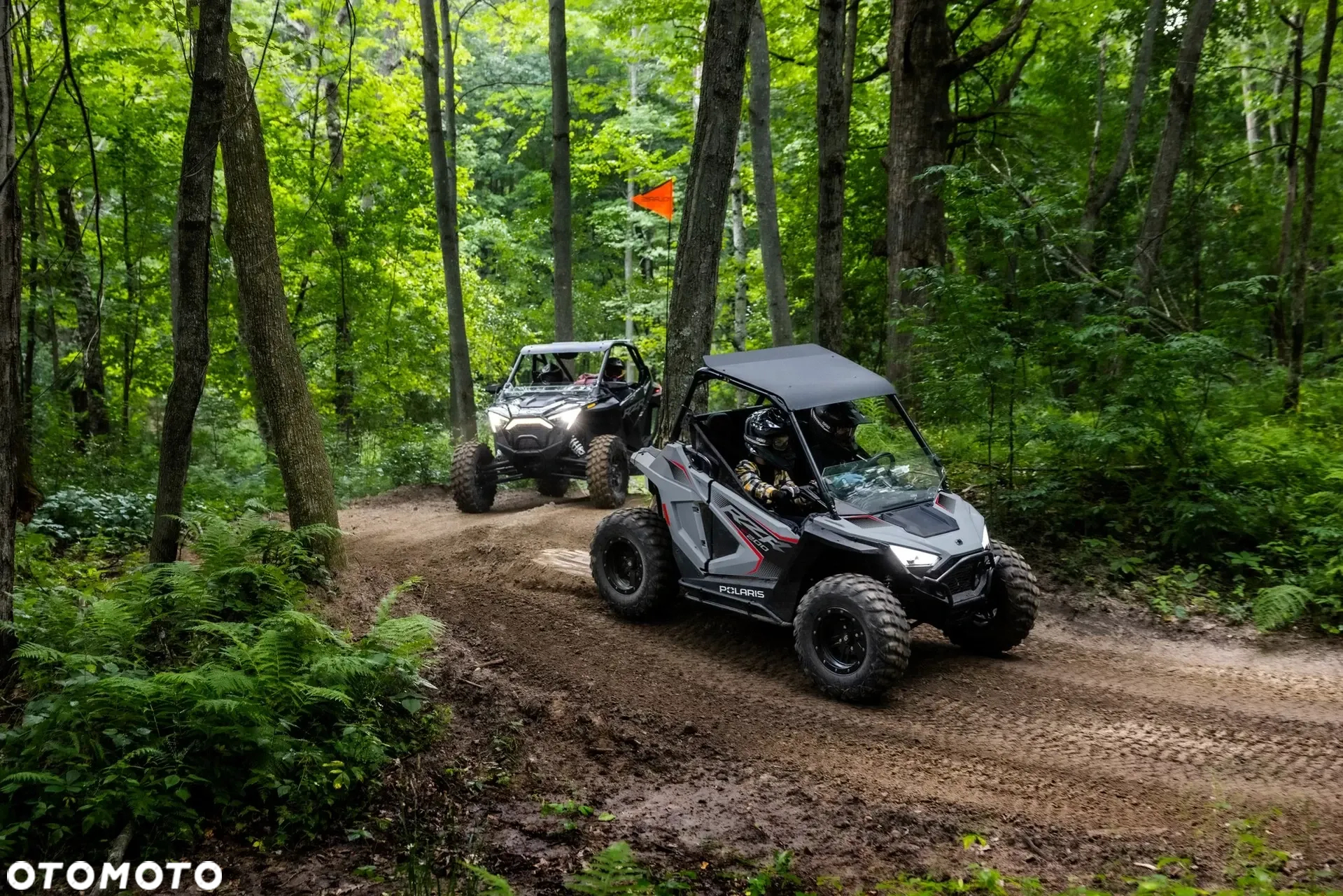 Polaris RZR - 6