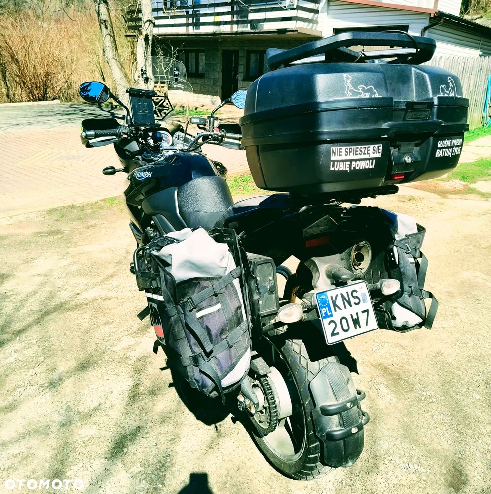 Triumph Tiger - 4