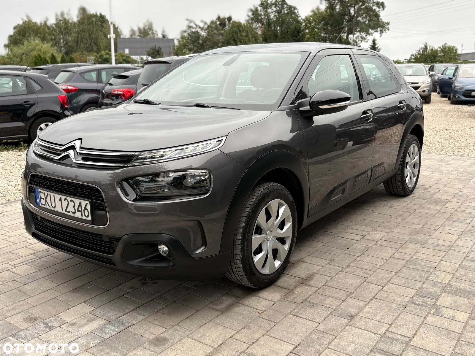 Citroën C4 Cactus VTi 82 Shine Edition - 5