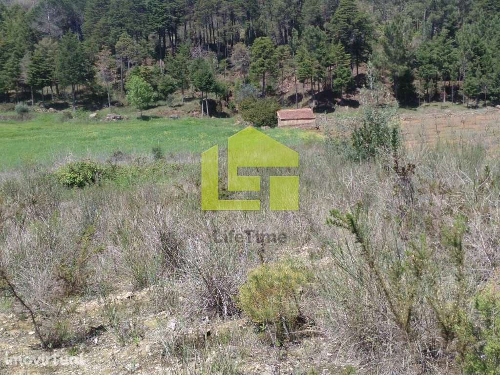 Terreno Urbano - Grande imagem: 5/7