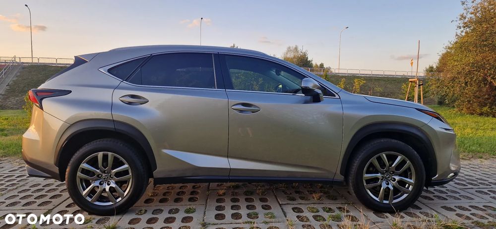 Lexus NX 300 Comfort AWD - 12