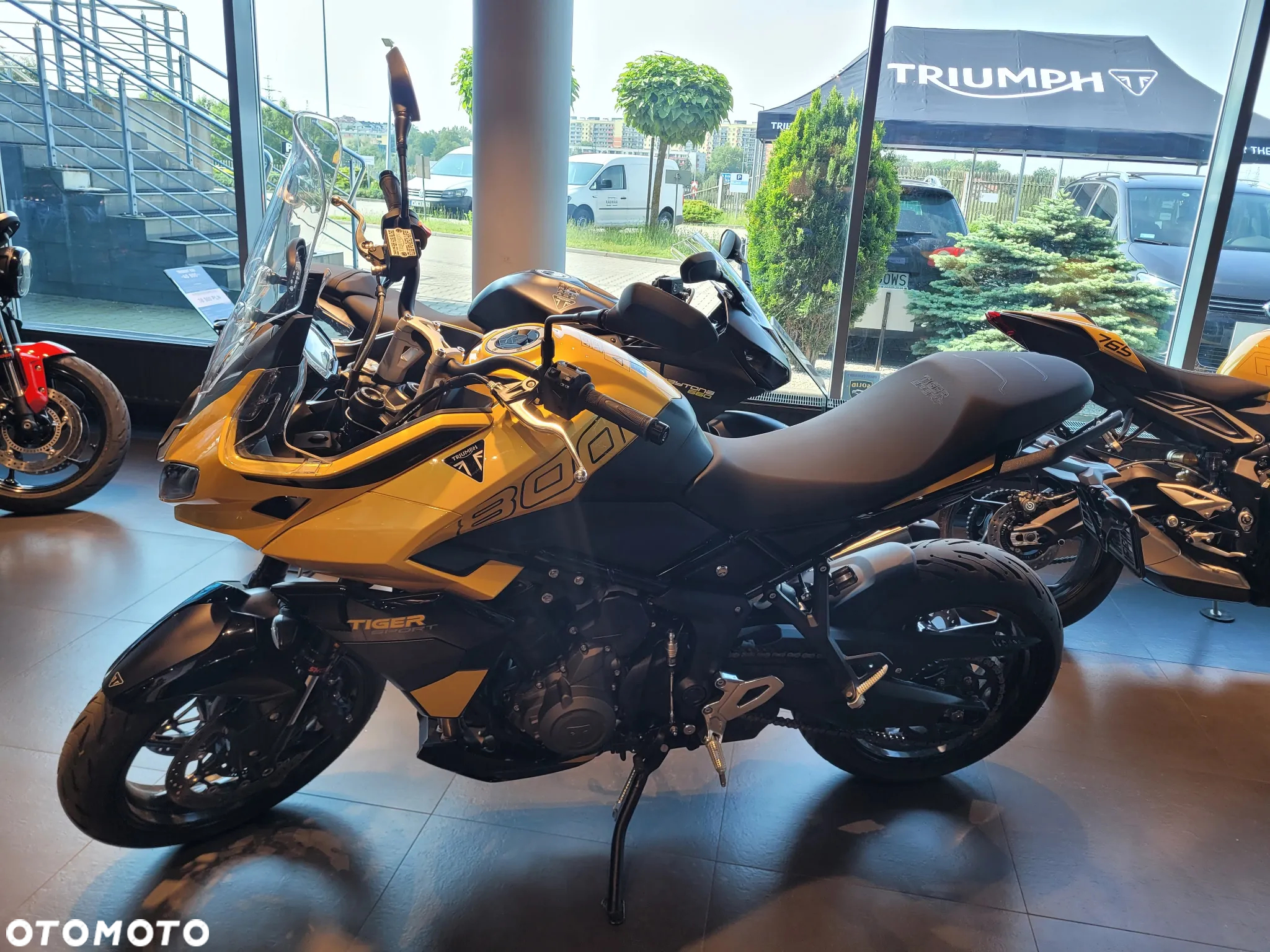 Triumph Tiger - 5