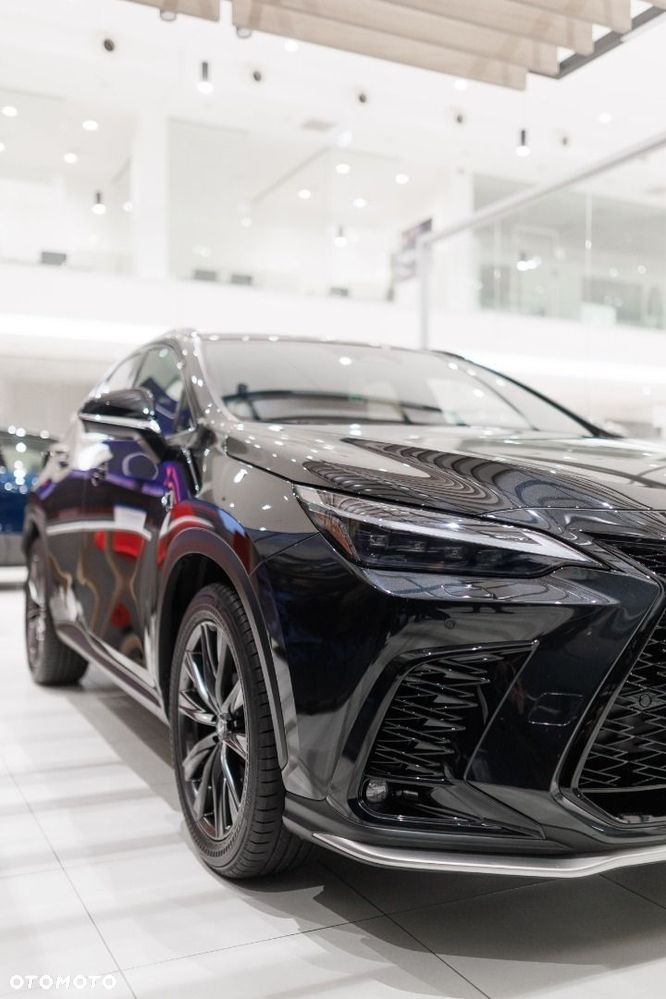 Lexus NX - 10