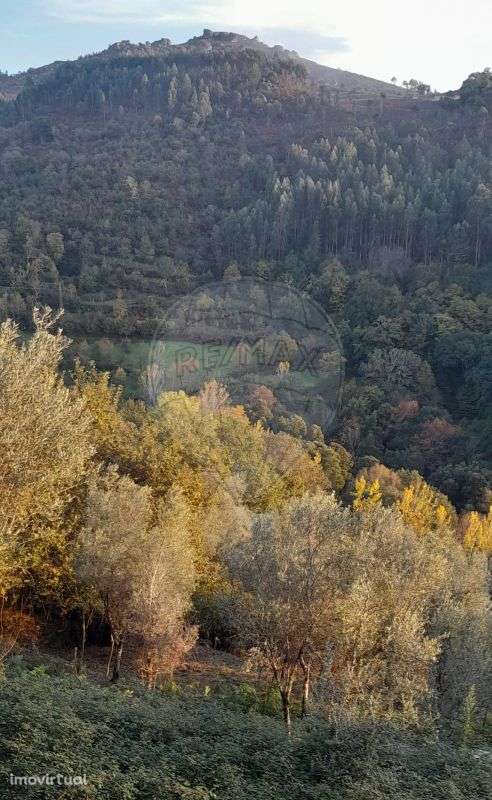 Terreno  para venda - Grande imagem: 4/18