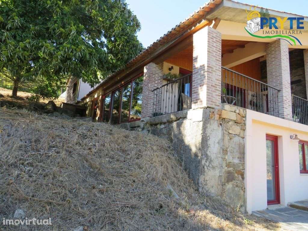 Quinta de 1,6 ha situada muito próxima da Vila da Sertã - Grande imagem: 5/60