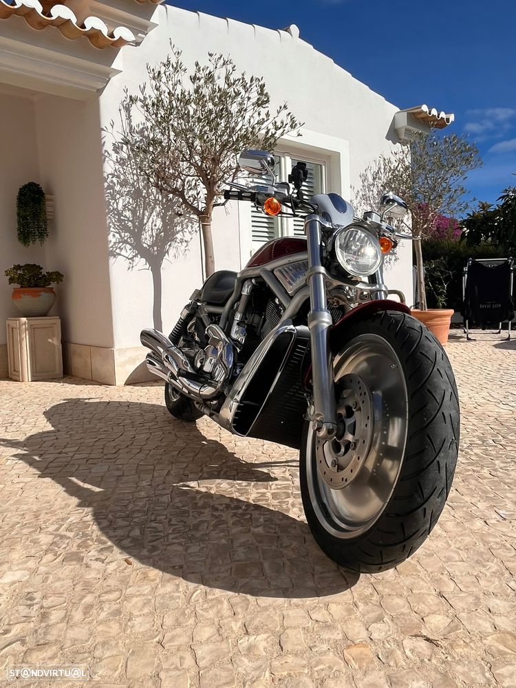 Harley-Davidson VRSCA V-Rod - 5