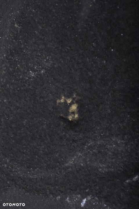 AUDI A4 B9 WYGŁUSZENIE PODBITKA MASKI 8W0863825 - 8