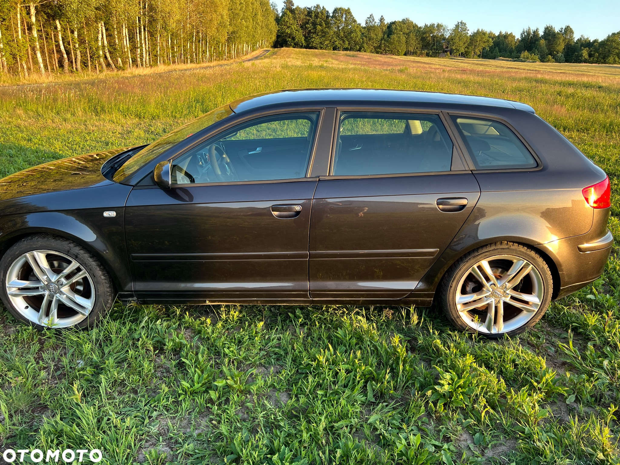 Audi A3 1.6 Sportback Ambiente - 4