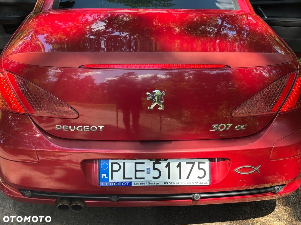 Peugeot 307 - 20