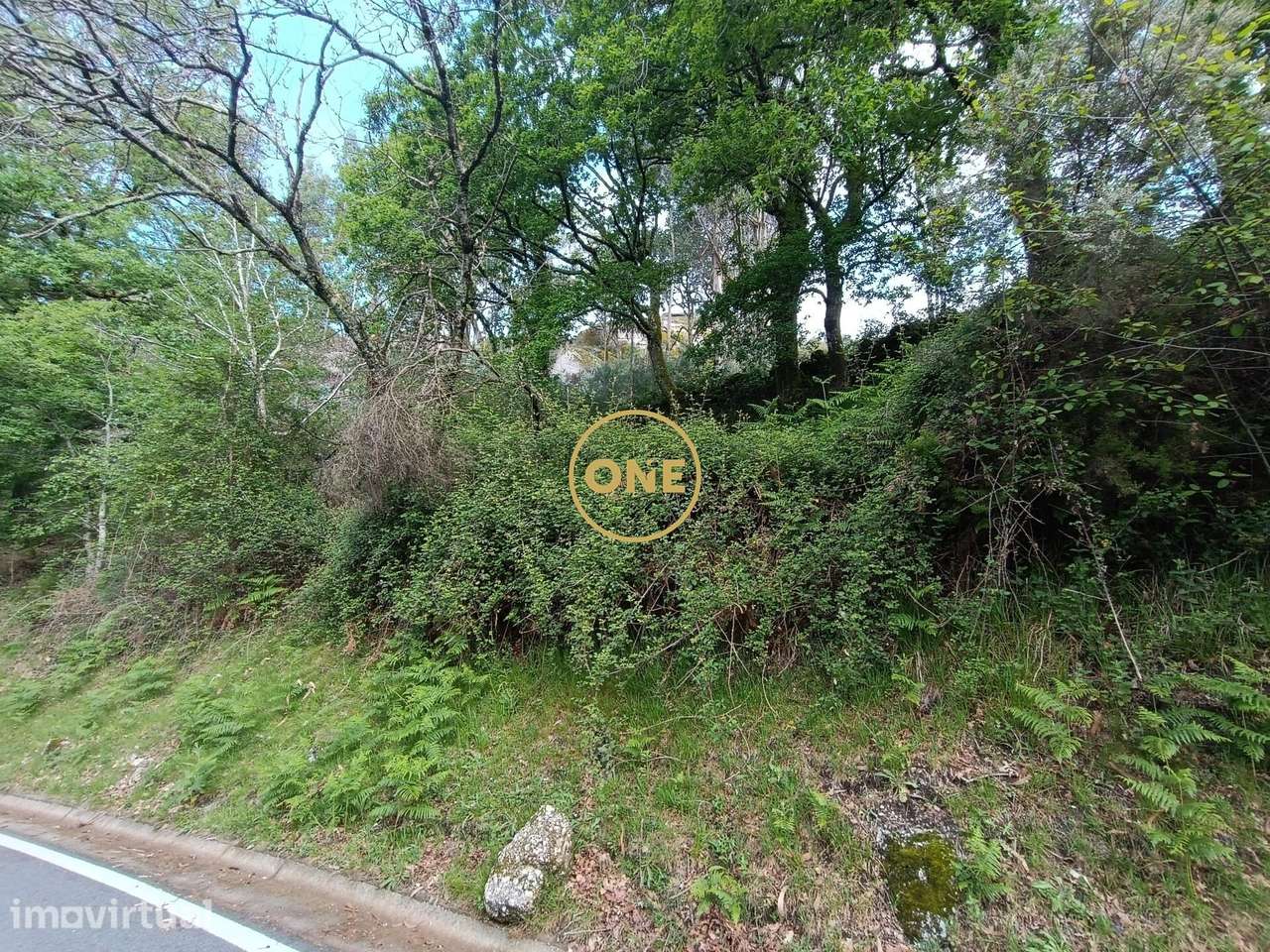 Floresta às Portas Do Gerês - Grande imagem: 2/16