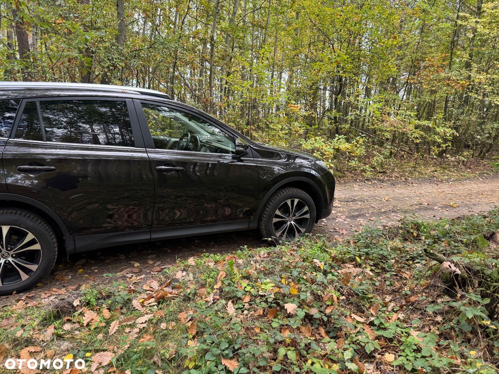 Toyota RAV4 - 13