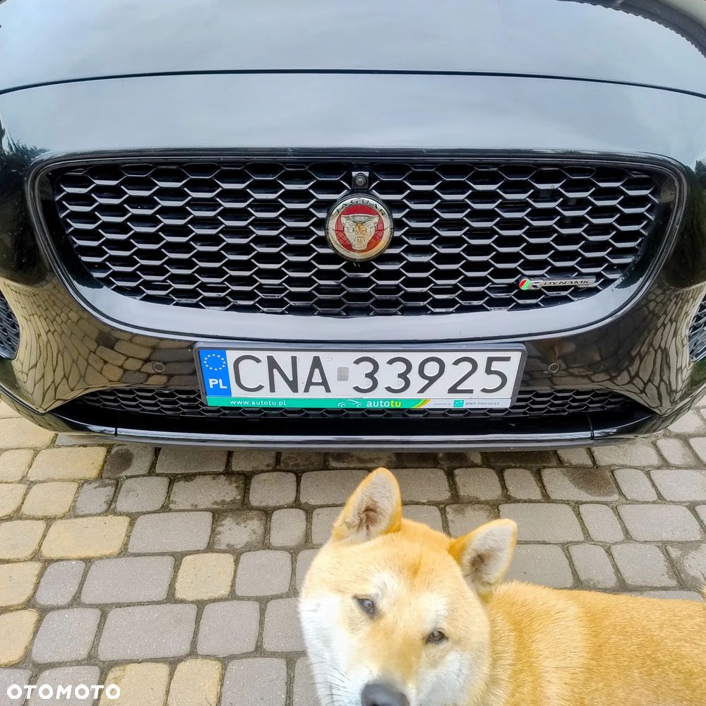 Jaguar E-Pace D180 AWD R-Dynamic S - 10