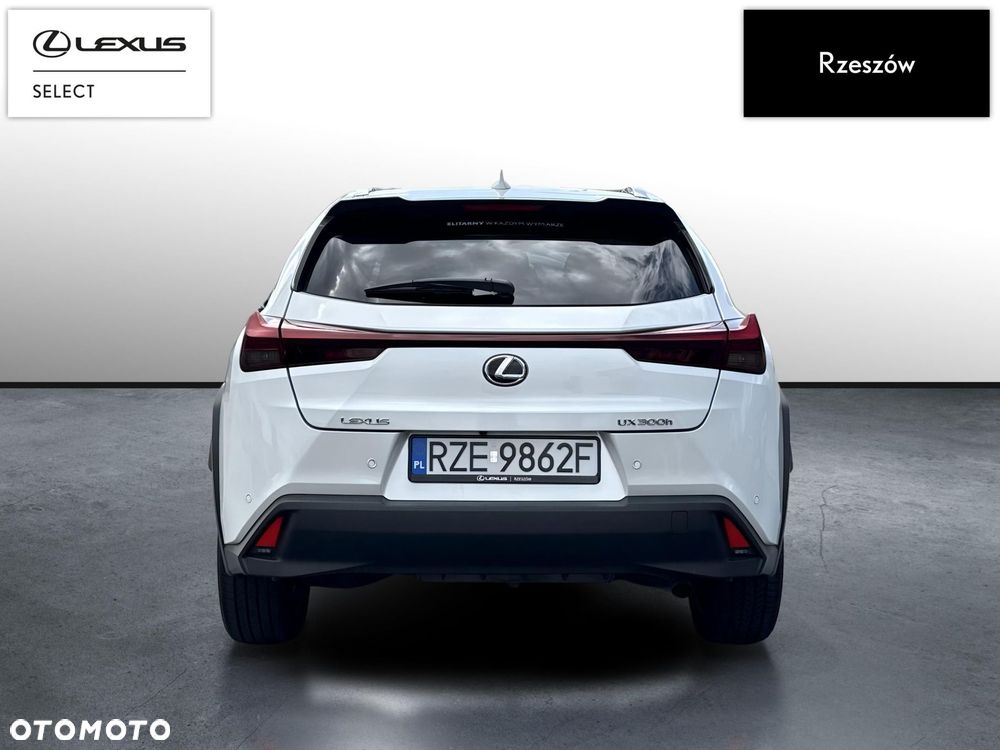 Lexus UX 300h Prestige - 4