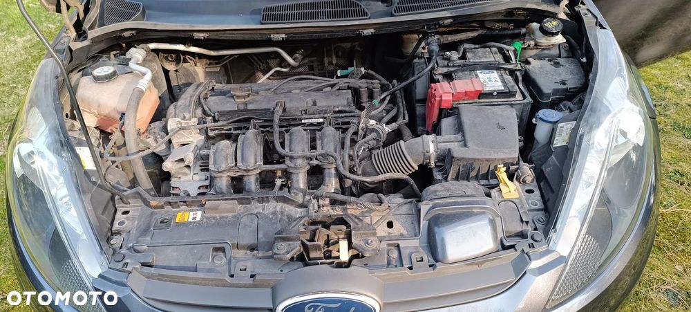 Ford Fiesta - 14