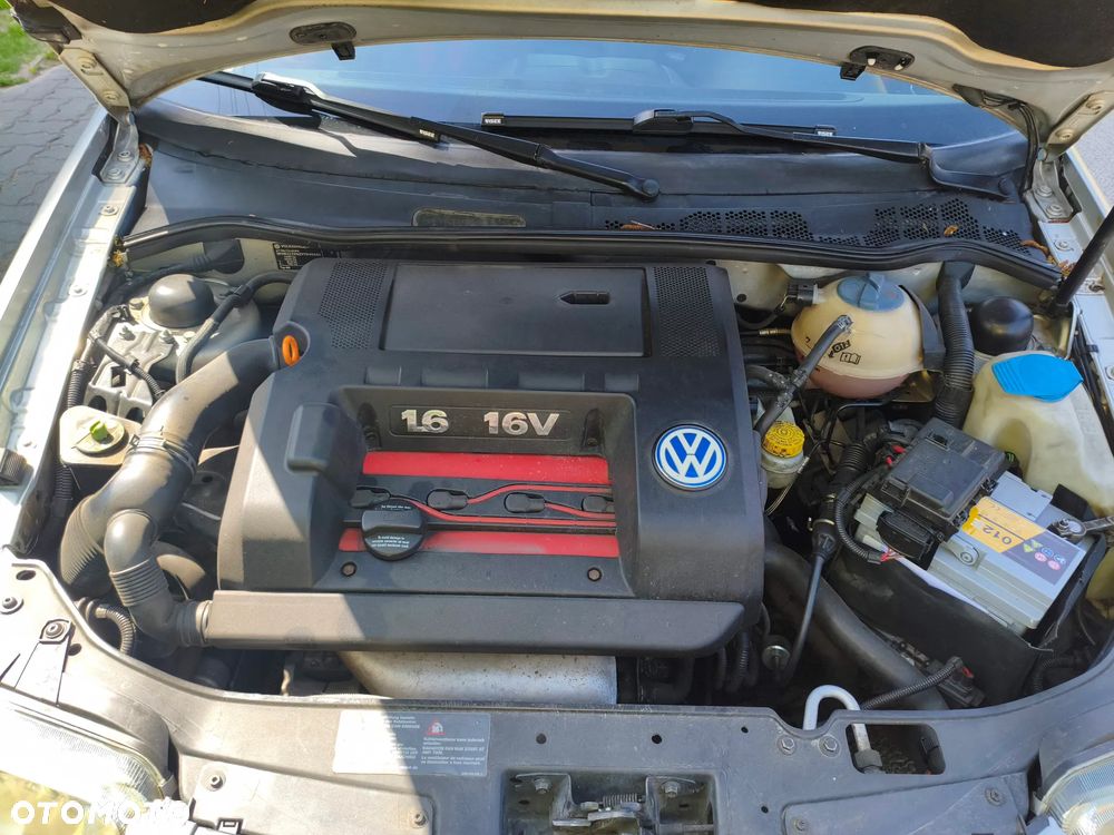 Volkswagen Polo - 16
