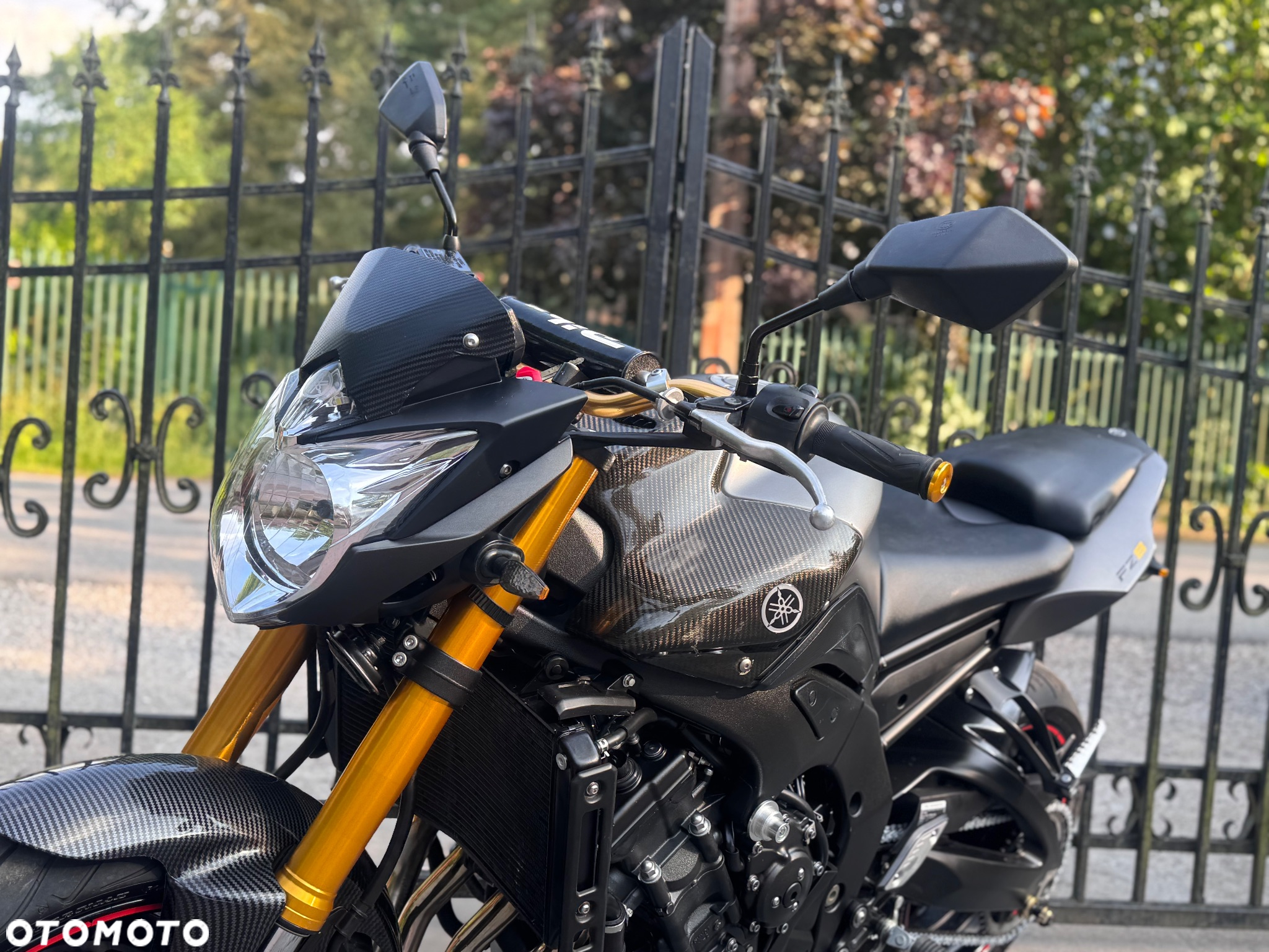 Yamaha FZ8 - 18