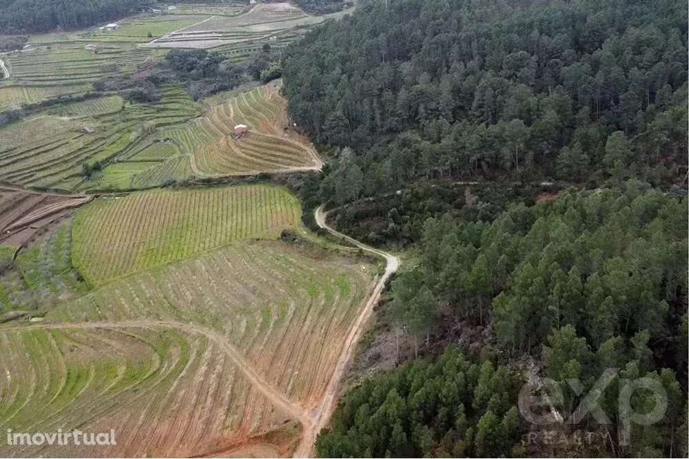 Propriedade Rústica em São Mamede de Ribatua - Grande imagem: 2/7