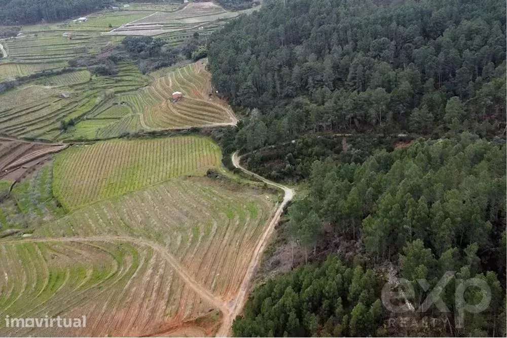 Propriedade Rústica em São Mamede de Ribatua - Grande imagem: 2/7