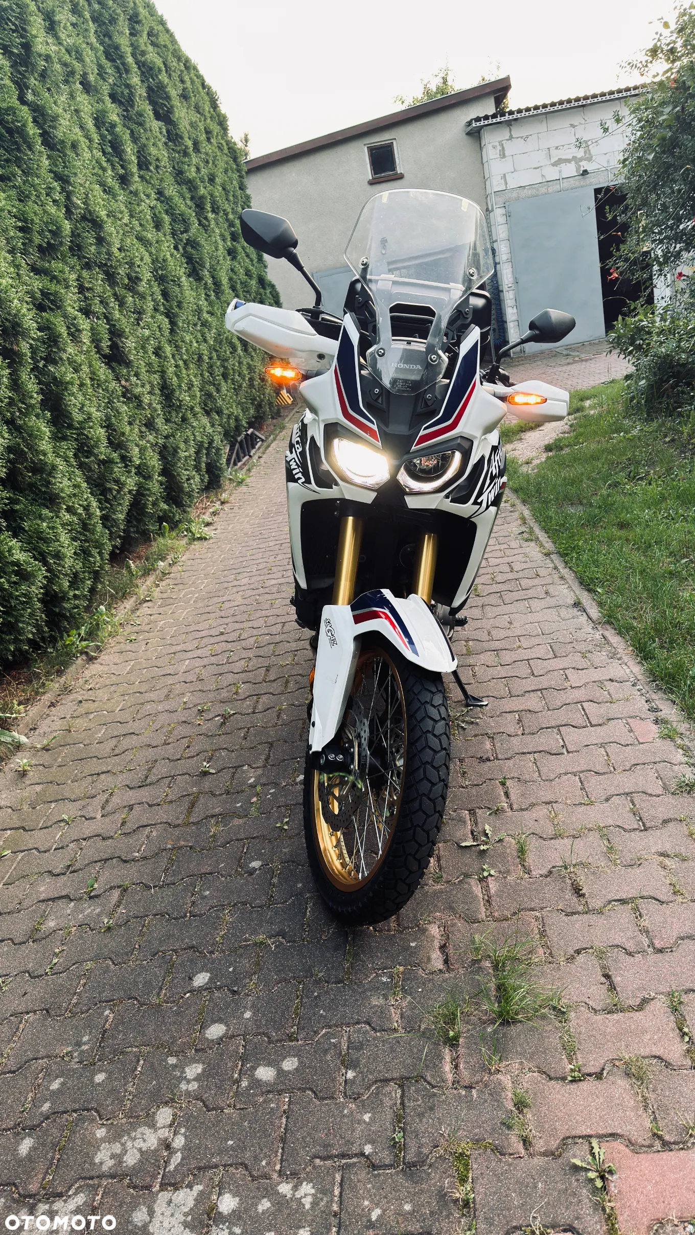 Honda CRF