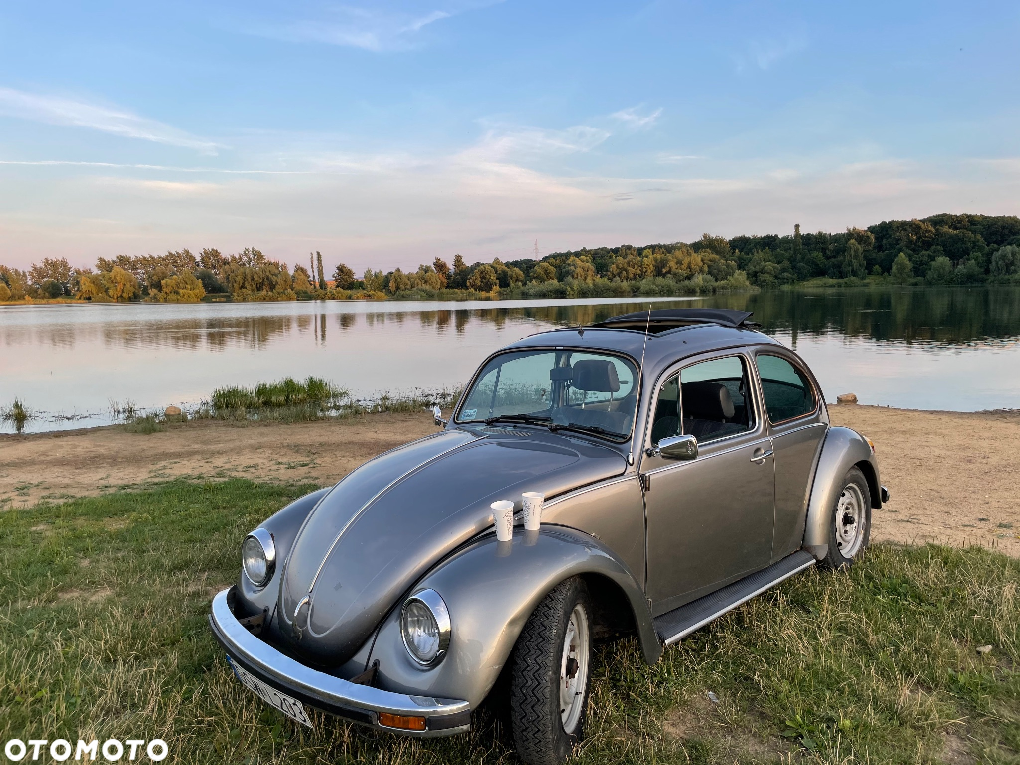 Volkswagen Garbus - 2
