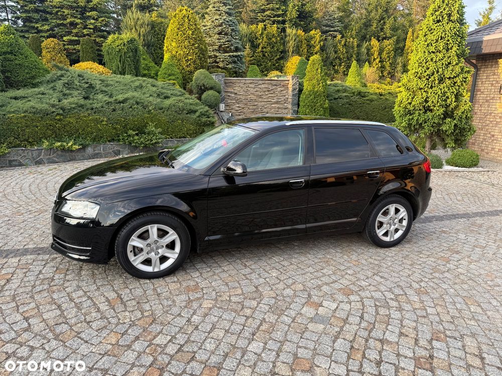 Audi A3 Sportback 1.6 Ambiente - 7