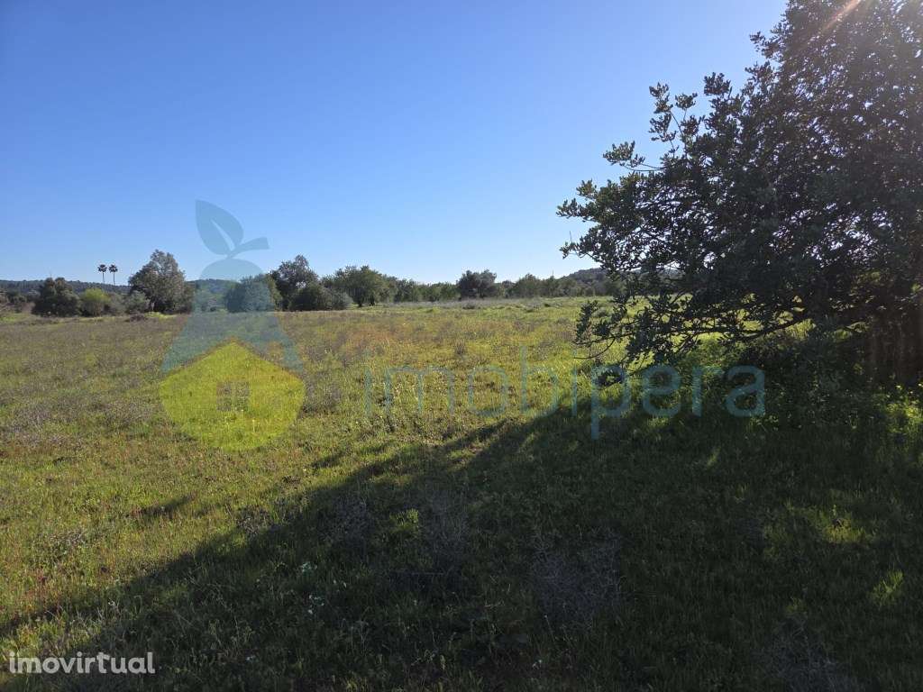 Terreno rústico - Bom acesso - Grande imagem: 2/4