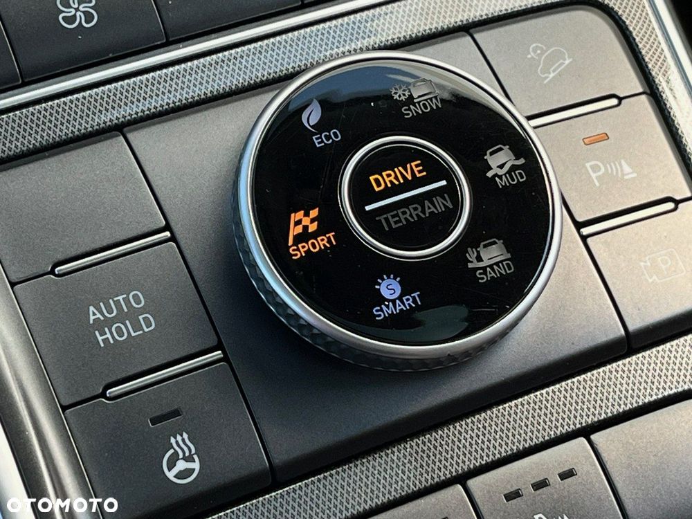 Hyundai Santa Fe - 29