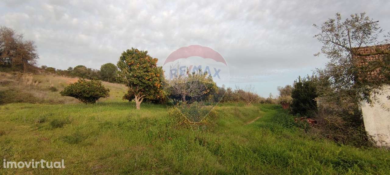 Moradia T3 para venda - Grande imagem: 3/28